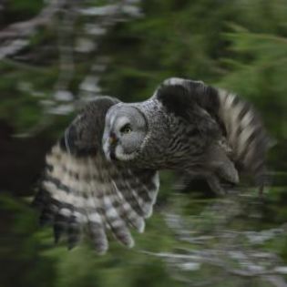 672082_fbe8646178c820d0c71df9943178564a_mdsq