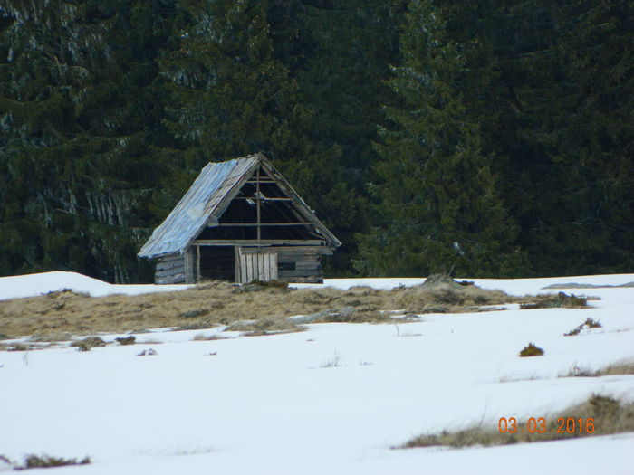 015 - Muntii Calimani-Bradu Ciont  martie 2016