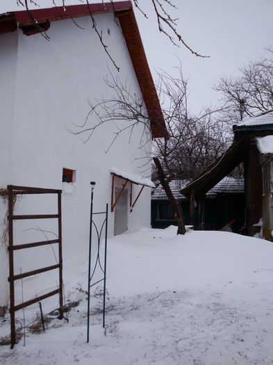 DSC02532