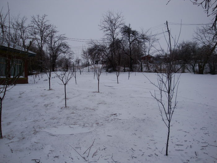 DSC02534