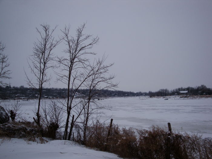 DSC02542