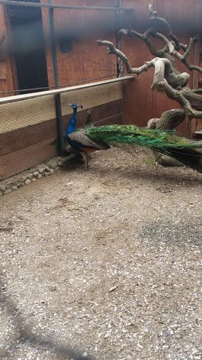 20160309_120445