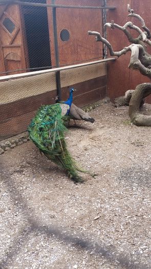 20160309_120440