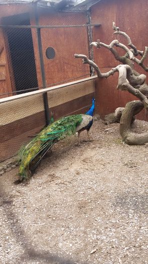 20160309_120413
