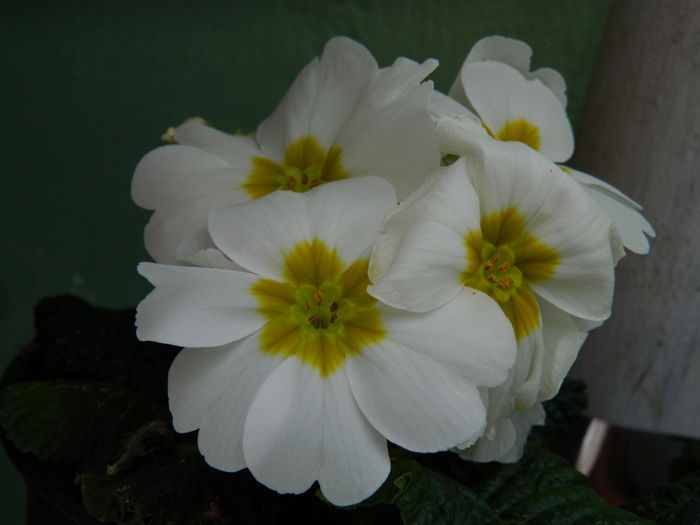 DSCN0130 - 2016 MARTIE