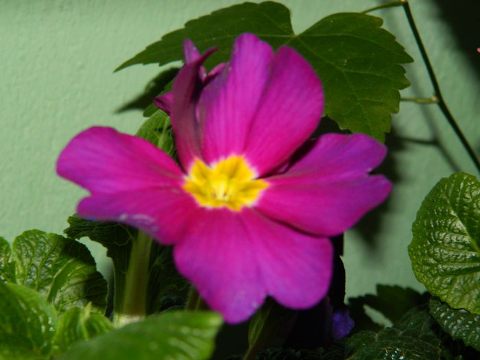 DSCN0131 - 2016 MARTIE