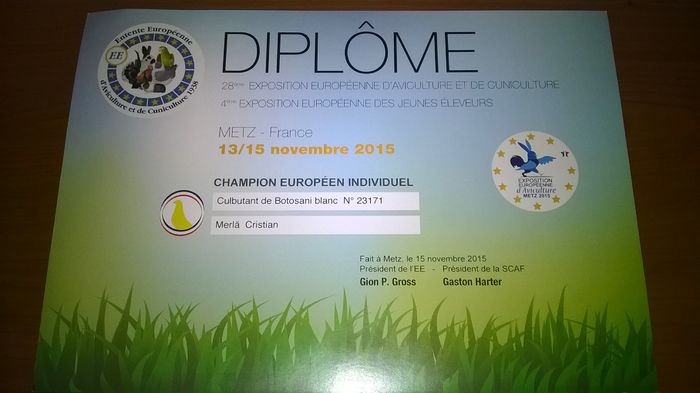 diploma tocmai au venit 09 03 2016 - A 0 CONTACT 0741057585