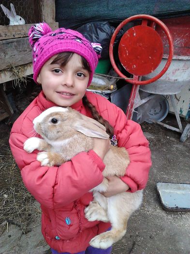 IMG_20160224_154746 - Copy