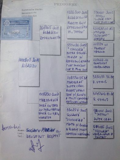 Fantast - Starurile-Pedigree