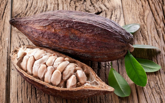 cacao1; seminte de cacao proaspete-5 ron samanta
