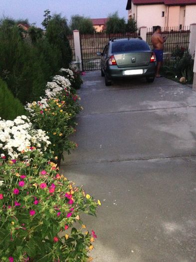 image; Aleea crizantemelor
