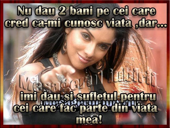 daaad - citate
