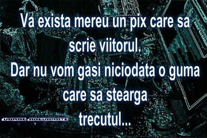 dd - citate