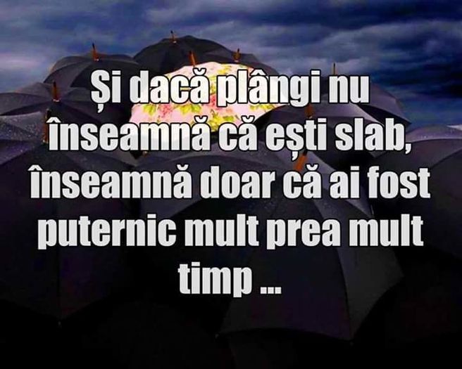 ddd - citate