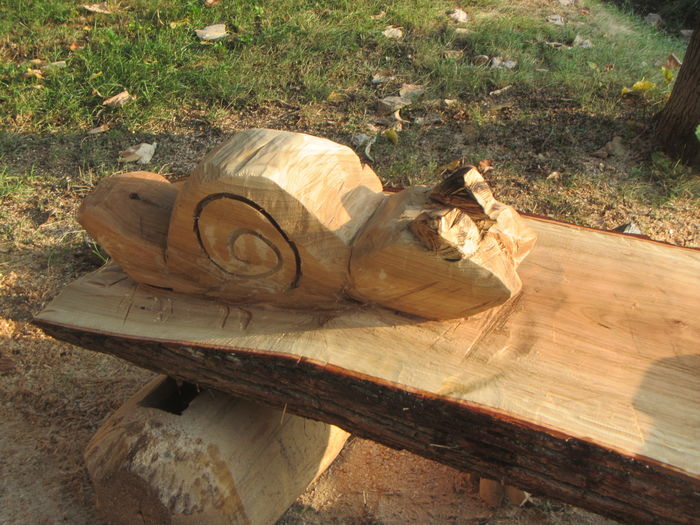 IMG_6493 - Produse din lemn sculptate