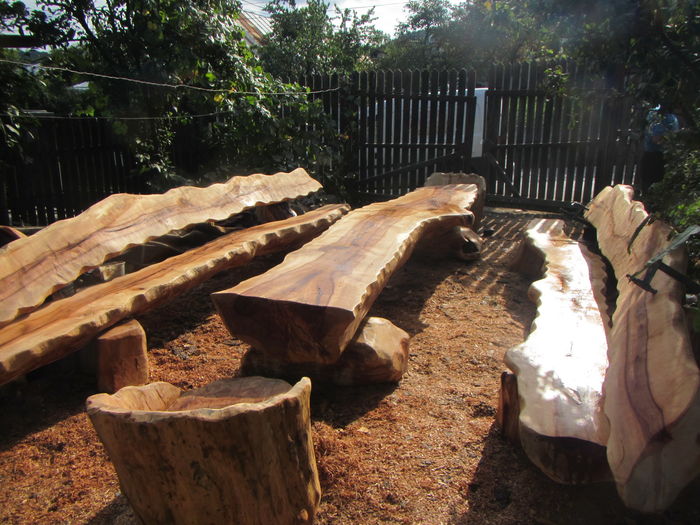 IMG_6523 - Produse din lemn sculptate