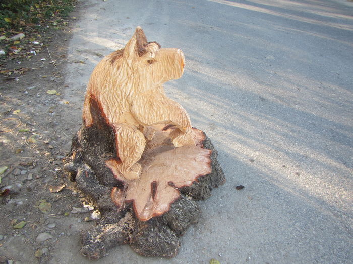 IMG_6655 - Produse din lemn sculptate