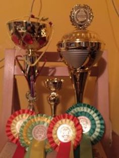 12039637_1698245610410099_1080772591112107564_n