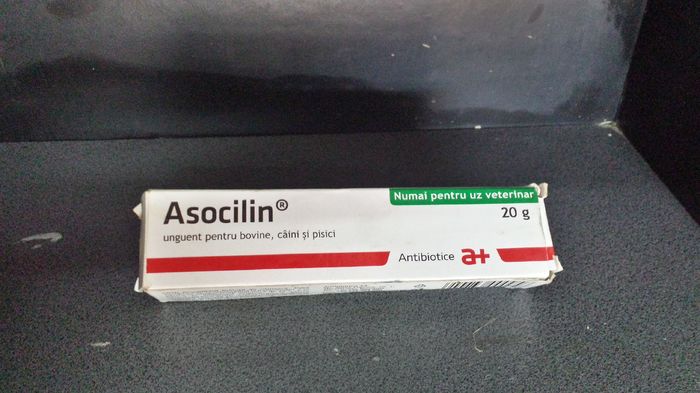 Asocilin unguent