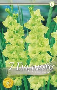 gladiolus-green-star - 2016 bulbi