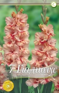 gladiolus-sunny-ruffle - 2016 bulbi
