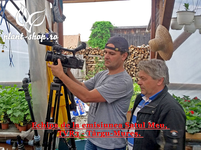 Satul-meu-TVR3