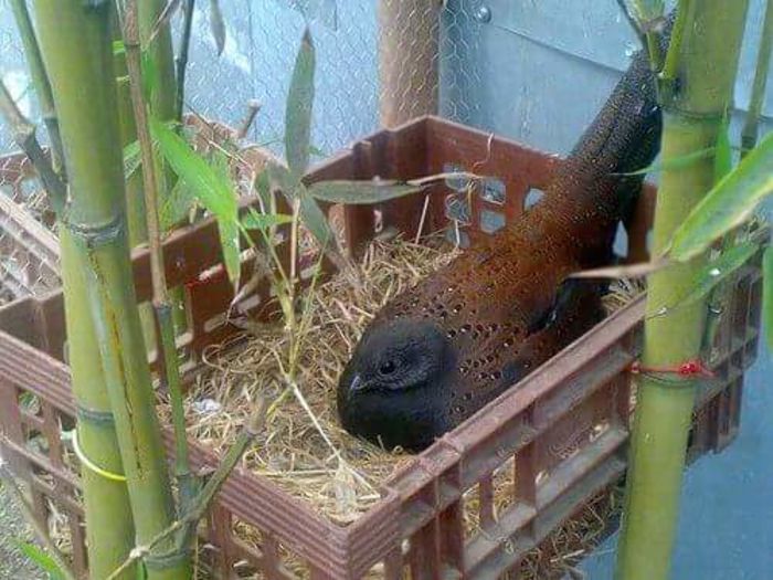 FB_IMG_1455115180815