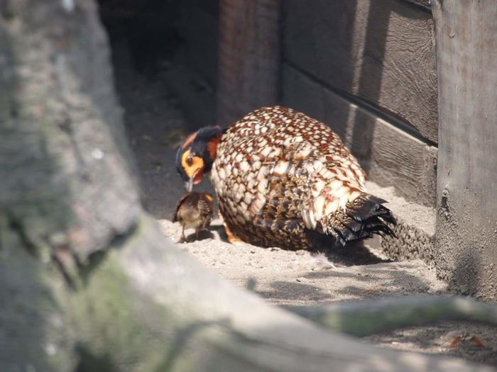 FB_IMG_1455002640251