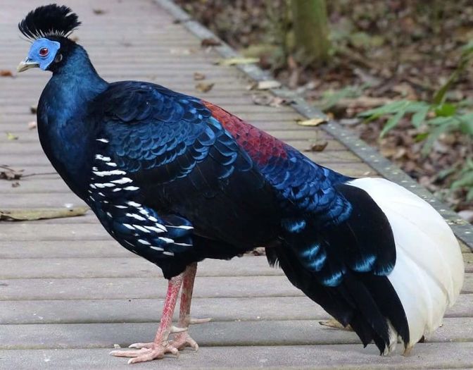 FB_IMG_1454675211192