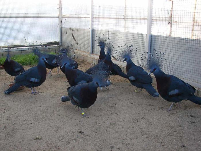 FB_IMG_1454437738711