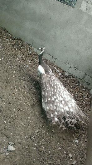 FB_IMG_1455002126414