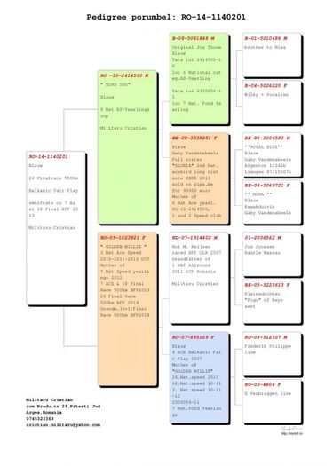 RO-1140201-2014-F-pedigree - Perechea 05