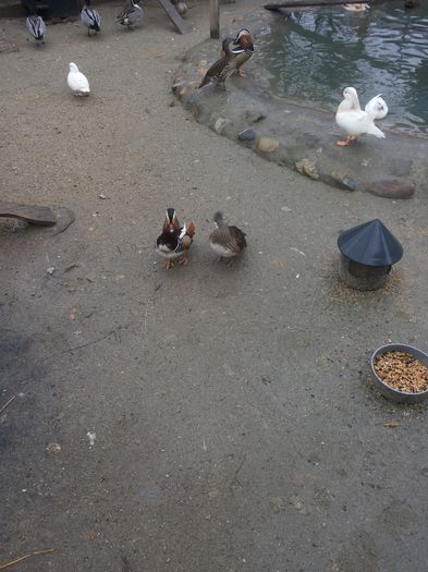 Hai ca ti-a fost dor de mine...recunoaste!!!