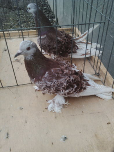 IMG_20160311_083020 - Copy - Copy