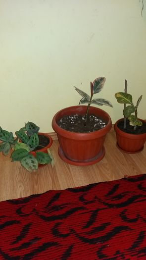20160311_105507