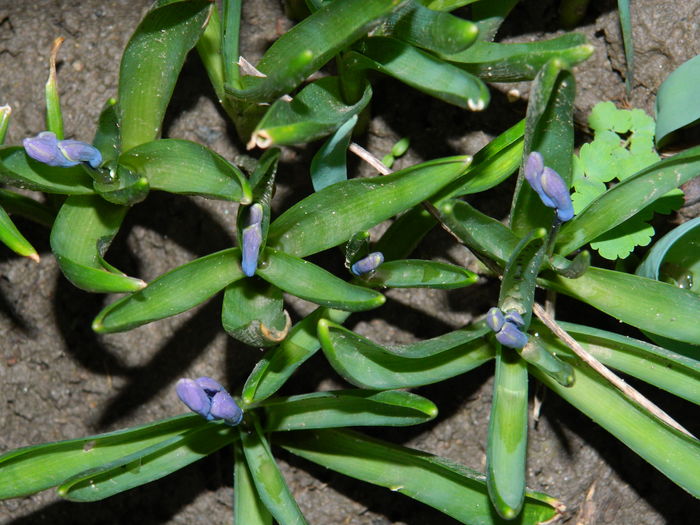 DSCN0290 - 2016 MARTIE