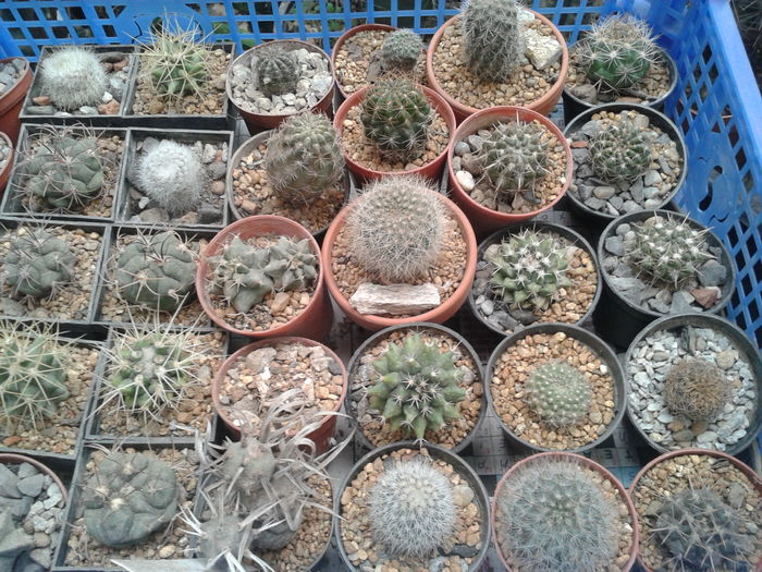 20160311_152342 - NOUTATI DE VANZARE