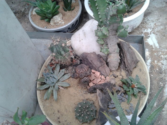 ARTANJAMENT 35 - NOUTATI DE VANZARE