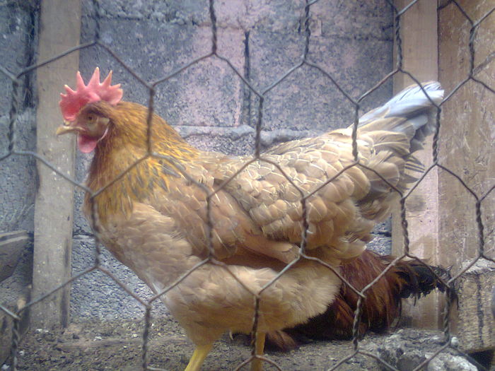 Fotografie1120 - 02 It somon project