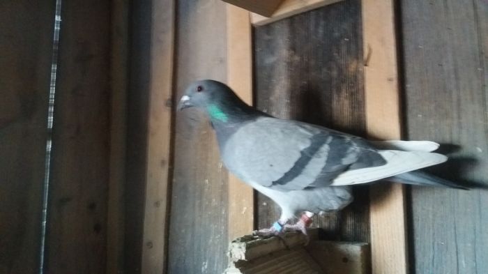 20160108_155654 - lot zbor