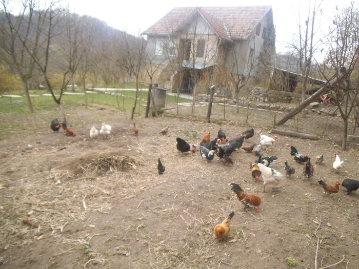 gtbt4nh54564n65n645n (46)