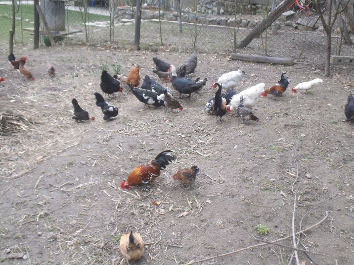 gtbt4nh54564n65n645n (47)