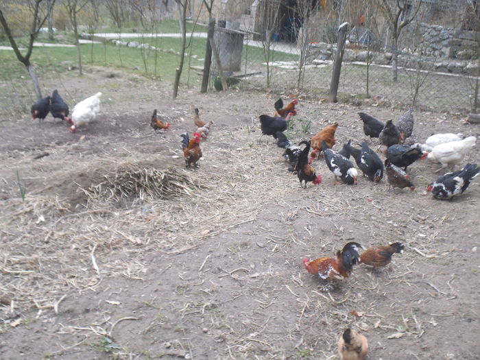 gtbt4nh54564n65n645n (48)