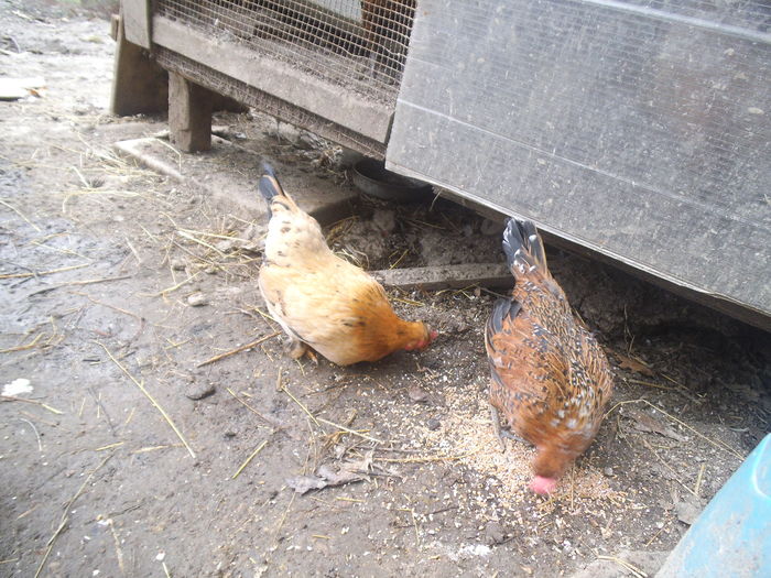 gtbt4nh54564n65n645n (51)