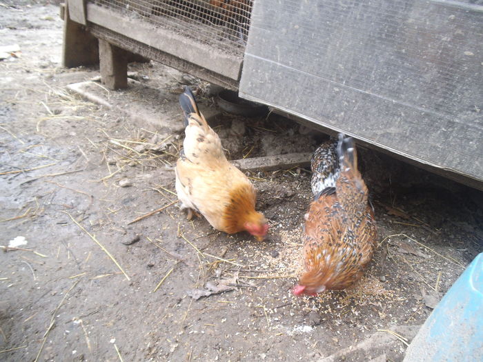 gtbt4nh54564n65n645n (52)