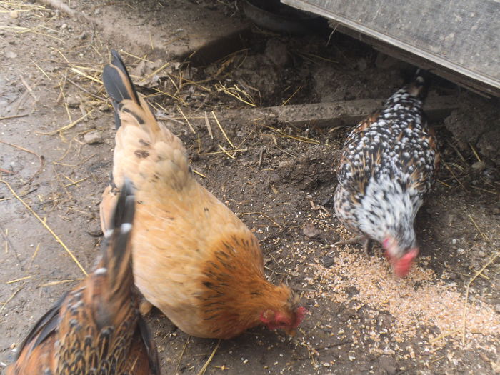 gtbt4nh54564n65n645n (54)