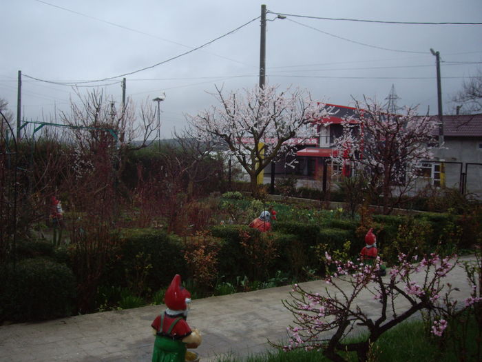 IMGP9145
