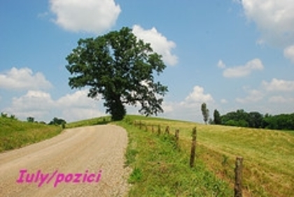 Iuly/pozici
