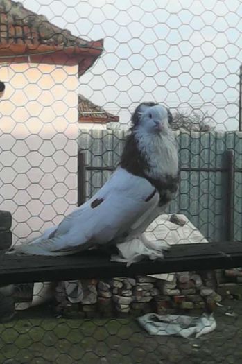 FB_IMG_1457808331653