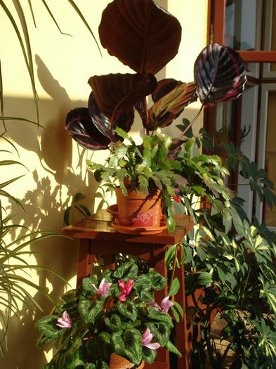 martie in interior (16)